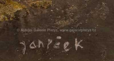  / Hlava / Ota Janeček