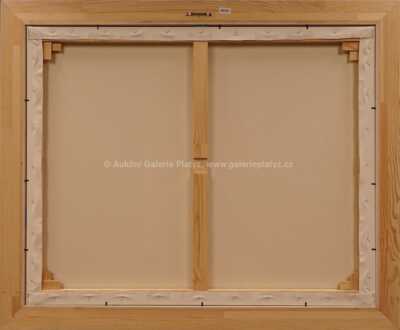  / Laureáti 2015 / František Ringo Čech