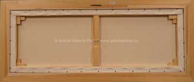  / Antarktida / František Ringo Čech