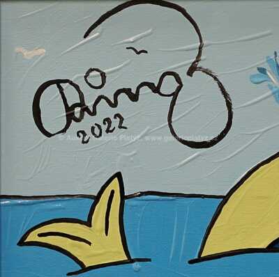  / Antarktida / František Ringo Čech