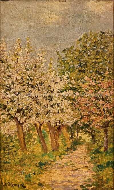  / Rozkvetlá alej / Jan Honsa