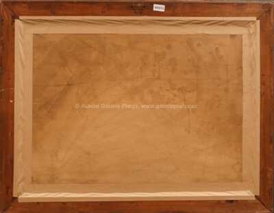  / Mezi poli / Josef Ullmann