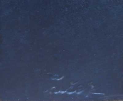  / Ptáček / Ota Janeček