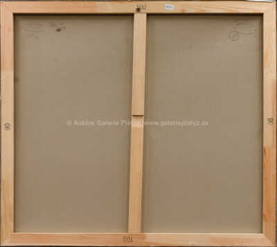  / Karlův most / Drahoslav Šolta