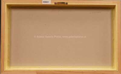  / Teplice - kamenné lázně / Ferdinand Kotvald