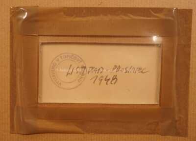  / Žena s kloboukem / František  Tichý