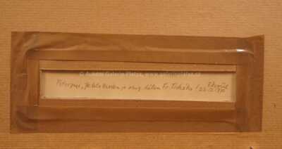  / Žena s kloboukem / František  Tichý