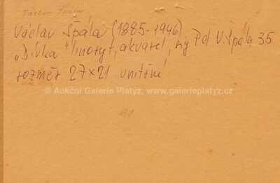  / Dívka / Václav Špála