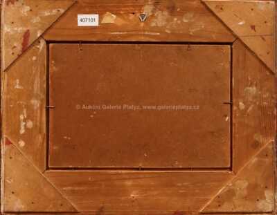  / Rozkvetlá louka / Jaroslav Panuška