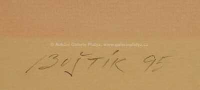  / Mlhovina / Václav Boštík.