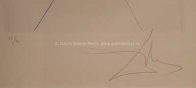  / Babaouo / Salvador Dalí