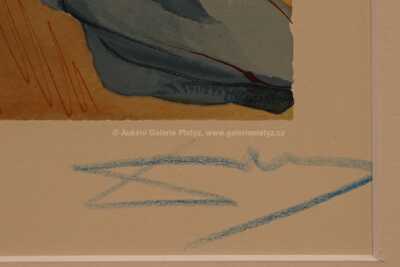  / Božská komedie - Zpěv 28 / Salvador Dalí