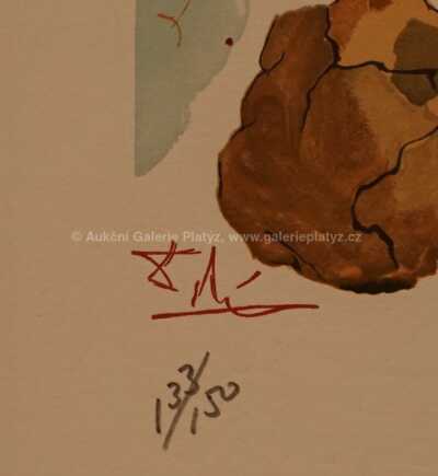  / Božská komedie - Zpěv 28 / Salvador Dalí