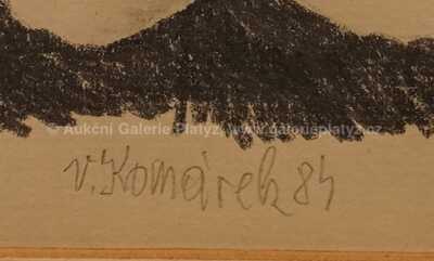  / Dvě vázy / Vladimír Komárek