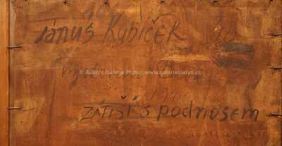  / Zátiší s podnosem / Jánuš Kubíček