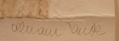  / Hlava Grácie / Olbram Zoubek