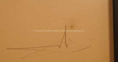  / Balerína / Salvador Dalí