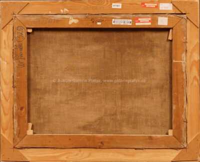  / Housata / Lev Šimák