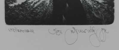  / Vystěhovalci / Albín Brunovský