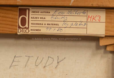  / Etudy / Karel Laštovka