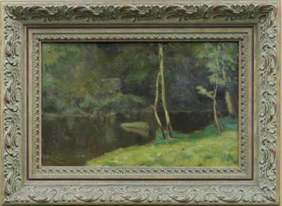 Rudolf Walter - Lesní tůň