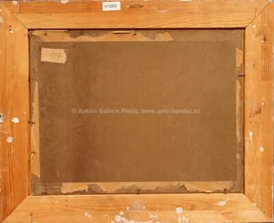  / V zimě / Roman Havelka