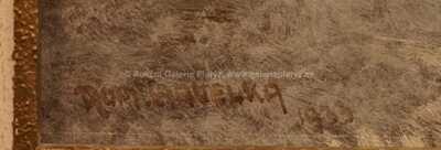  / V zimě / Roman Havelka