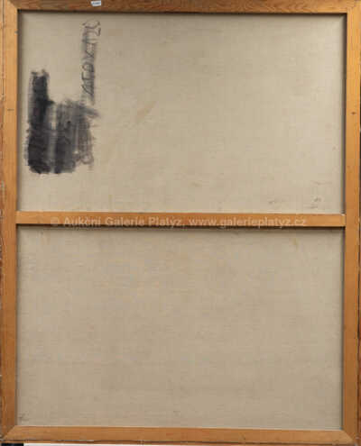  / Modrá krajina / Jiří Šorm