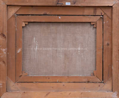  / Žena / Ludmila Jiřincová