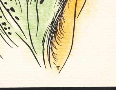  / Histoire naturelle / Marie Čermínová - Toyen