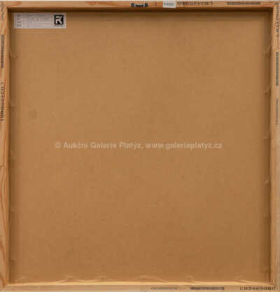  / Kousek za domem / František Květoň