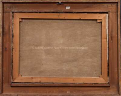  / Letní krajina / Vincenc Beneš