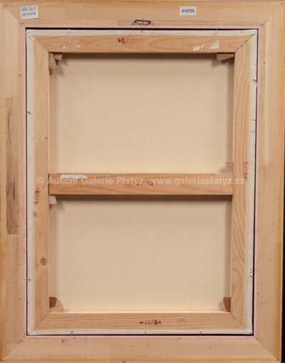  / Zamyšlená / Josef Jíra