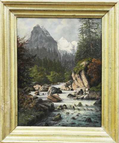 Neznačeno - Alpská bystřina