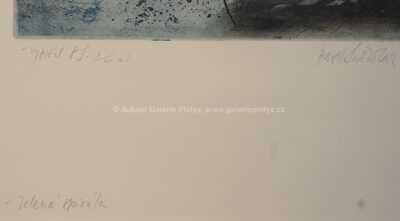  / Zelená spirála / Pavel Sukdolák