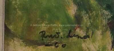  / Pražské panorama / Rudolf Lexa