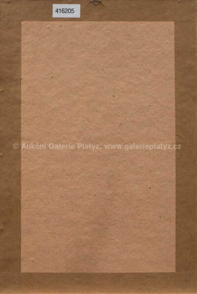  / Evo! / Olbram Zoubek