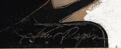  / Hráč / Jan Rapin