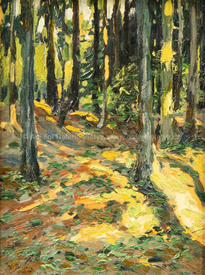  / Slunko v lese / Václav Březina