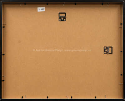  / Torzo ženy / Jan Saudek