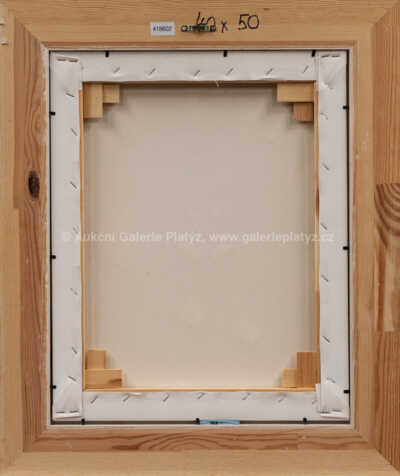  / Noční trénink / František Ringo Čech