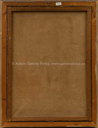  / Dívka s hrozny / Alfréd Šnábl