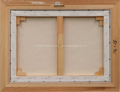  / 2000 mil pod mořem / František Ringo Čech