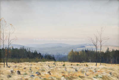  / Pohled do krajiny / Josef Jambor