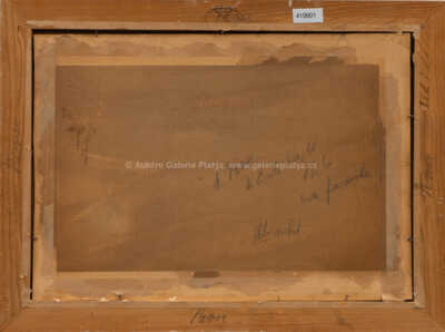  / Stráň u lesa / Roman Havelka