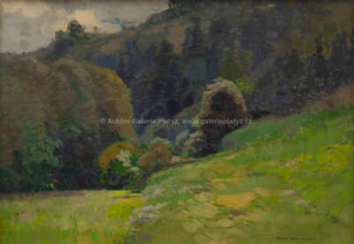  / Stráň u lesa / Roman Havelka