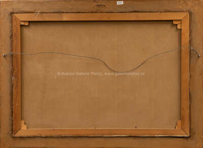  / Pražské panorama / Jaroslav Šetelík