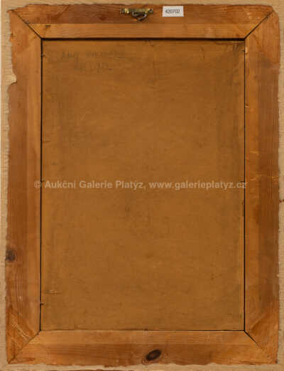  / V aleji / Adolf Wiesner
