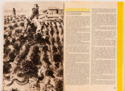  / Na farmě / Zdeněk Burian