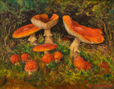  / Muchomůrky / Jaroslav Panuška